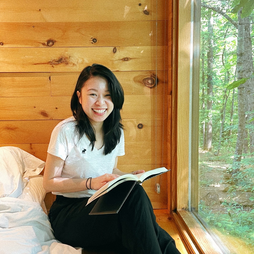 A cabin morning, misty trees outside the window